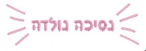 בלונים לניפוח עצמי - נסיכה נולדה