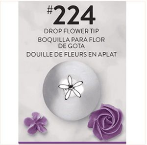 צנטר 224 - וילטון